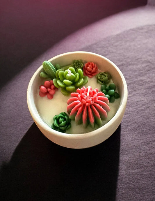 Succulent Candle - MehrArt collections