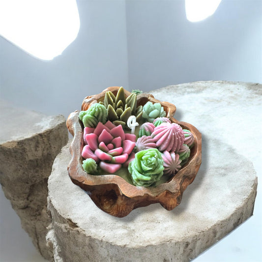 Succulent Beeswax Candle in unique tree cut pot