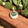 Beewax Succulent cactus candle| natural Beewax candle: housewarming gift for her