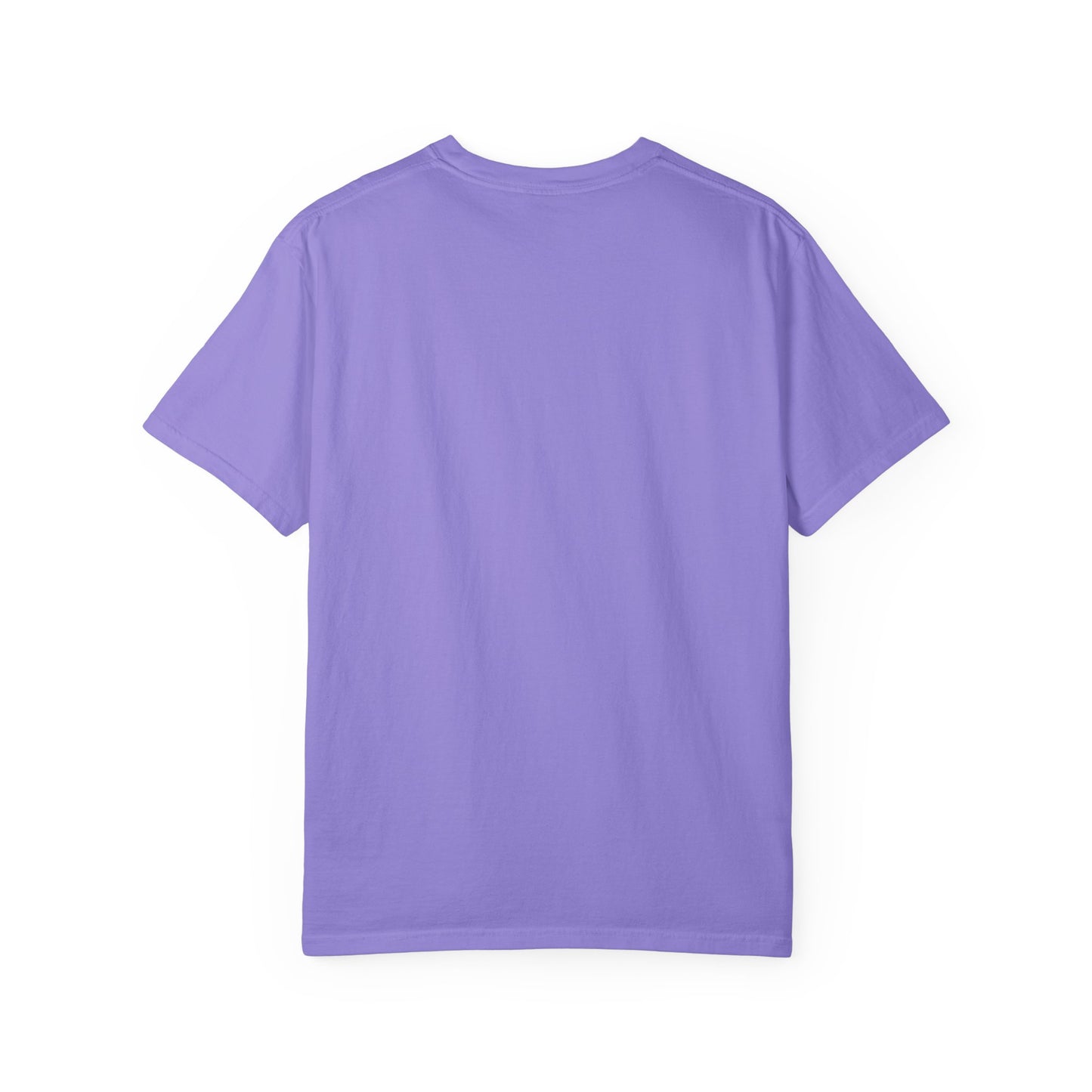 I'm In My Pet Era T-Shirt — Pet Lover Graphic Tee