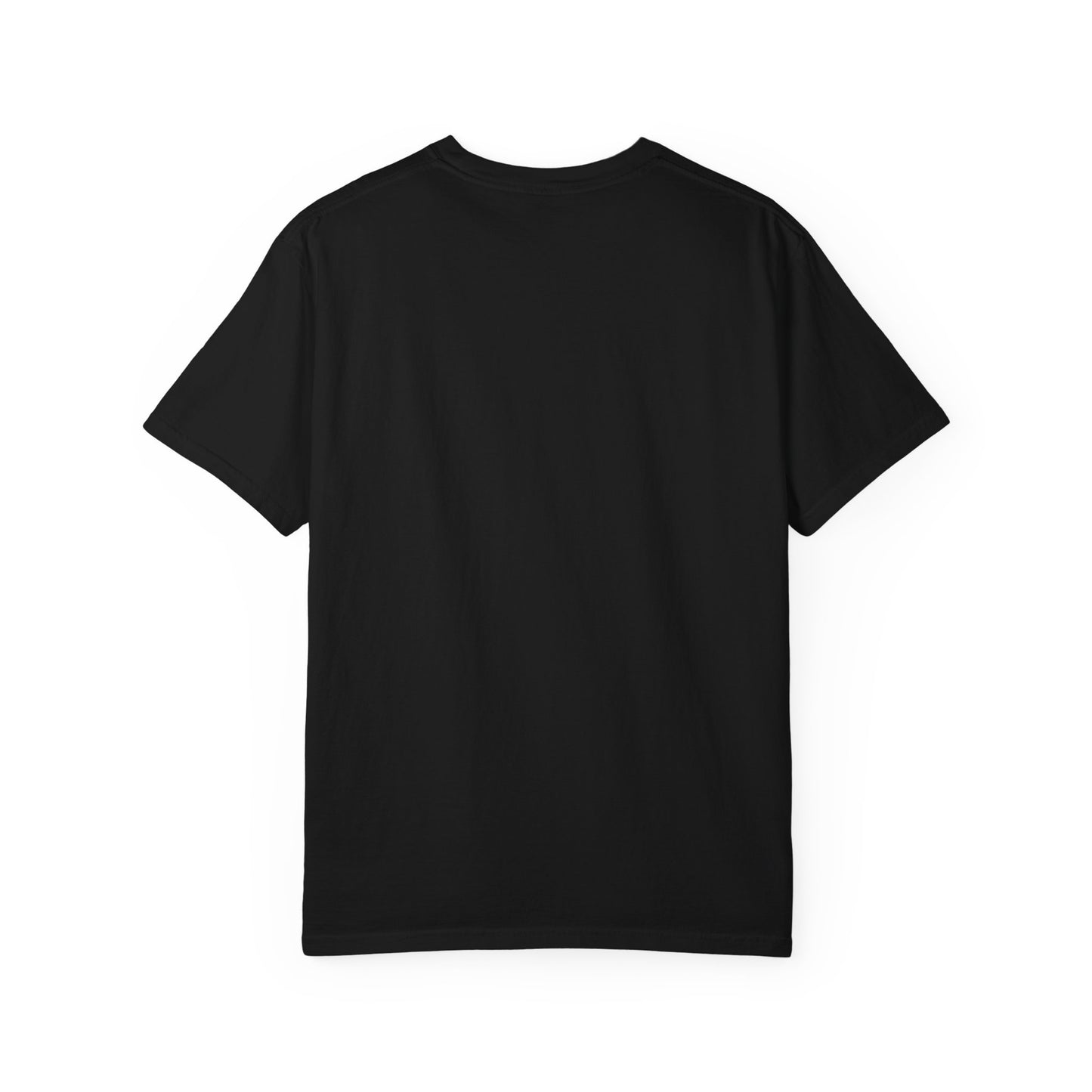 I'm In My Pet Era T-Shirt — Pet Lover Graphic Tee