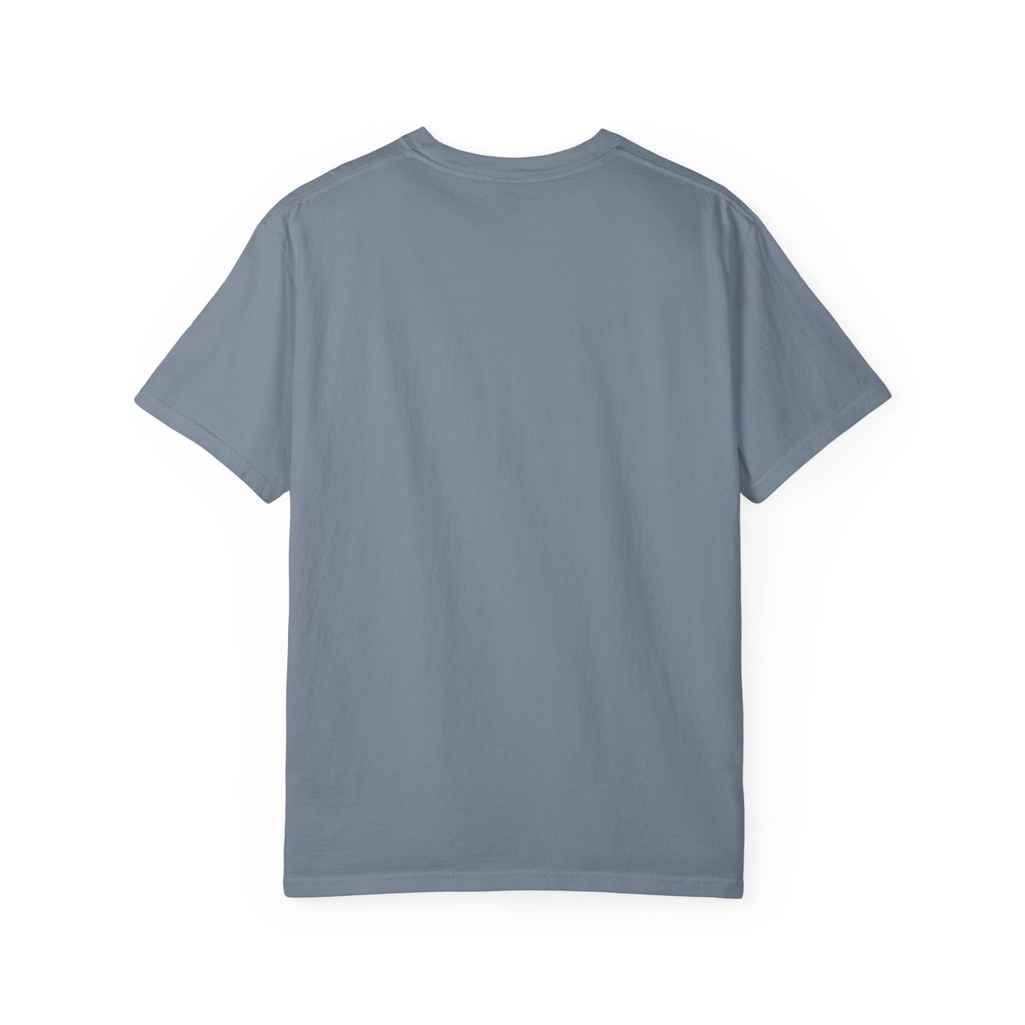 I'm In My Pet Era T-Shirt — Pet Lover Graphic Tee