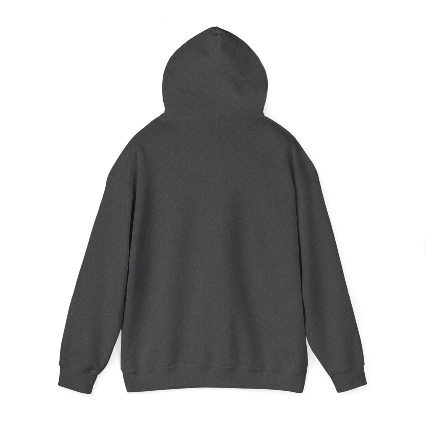 'Leather, Dust, A Free Soul' Hoodie — Vintage Boho Leather-Look Sweatshirt