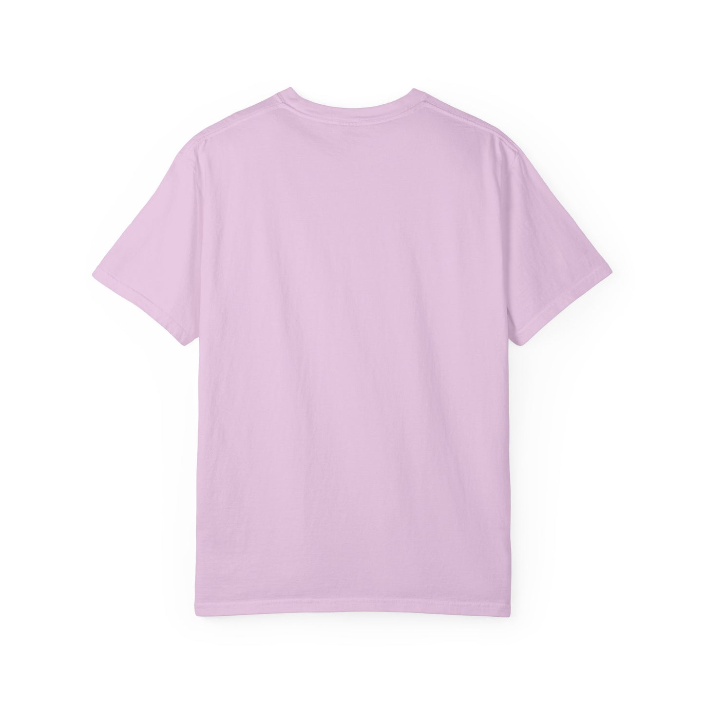 I'm In My Pet Era T-Shirt — Pet Lover Graphic Tee