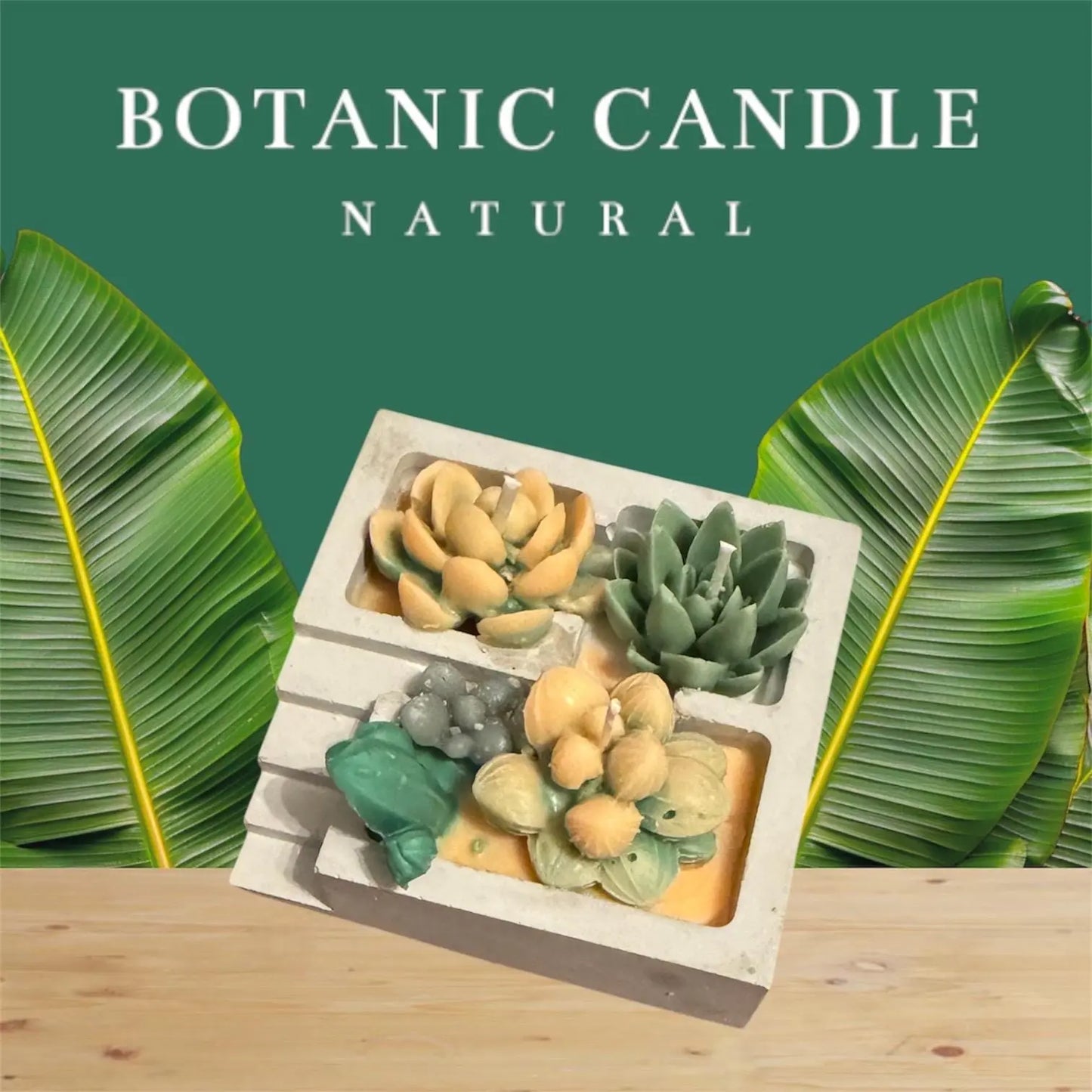 Beeswax Succulent cactus Candle: Natural Wax Home Decor MehrArt collections