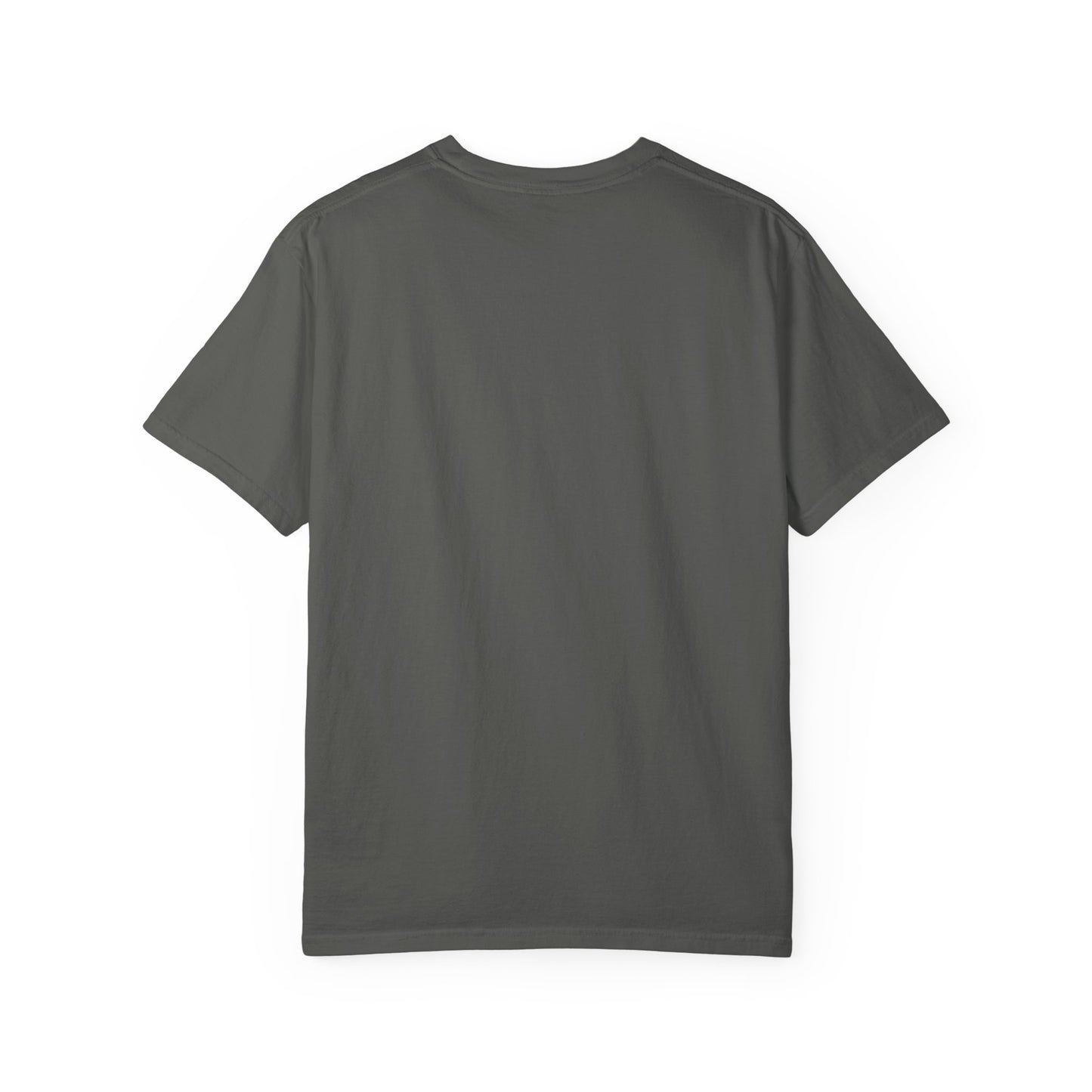I'm In My Pet Era T-Shirt — Pet Lover Graphic Tee