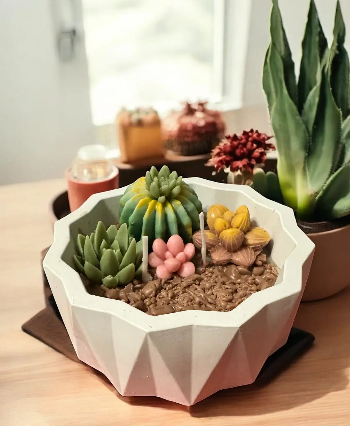 Beeswax Succulent Candle