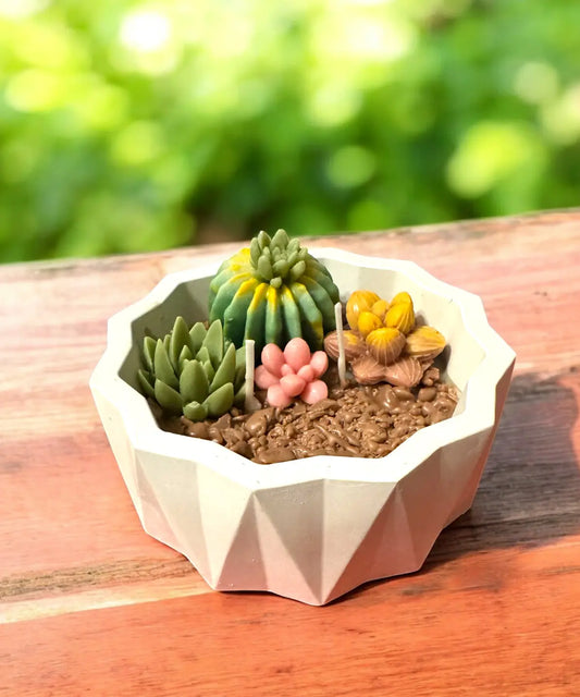 Beeswax Succulent Candle