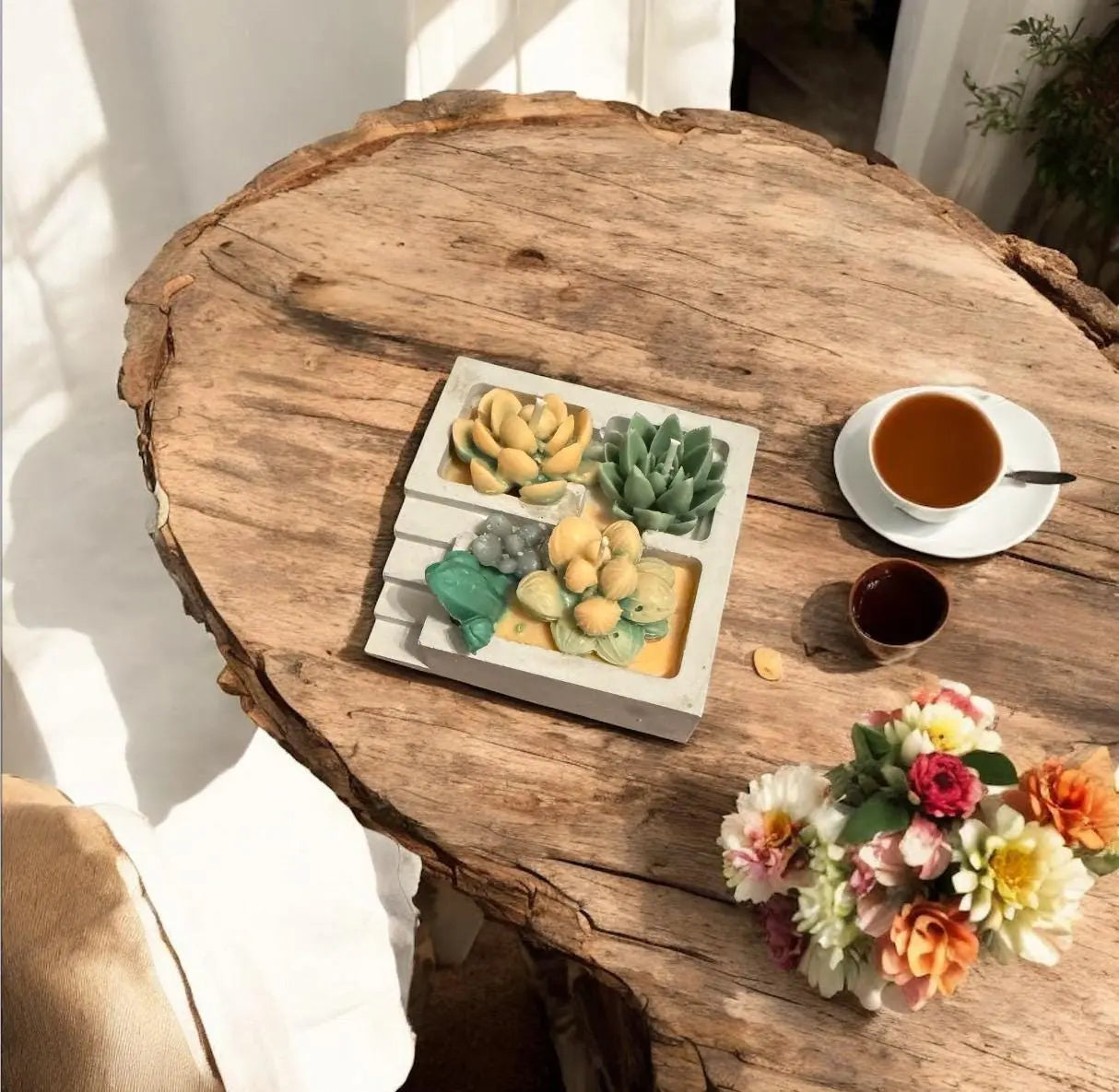 Beeswax Succulent cactus Candle: Natural Wax Home Decor MehrArt collections