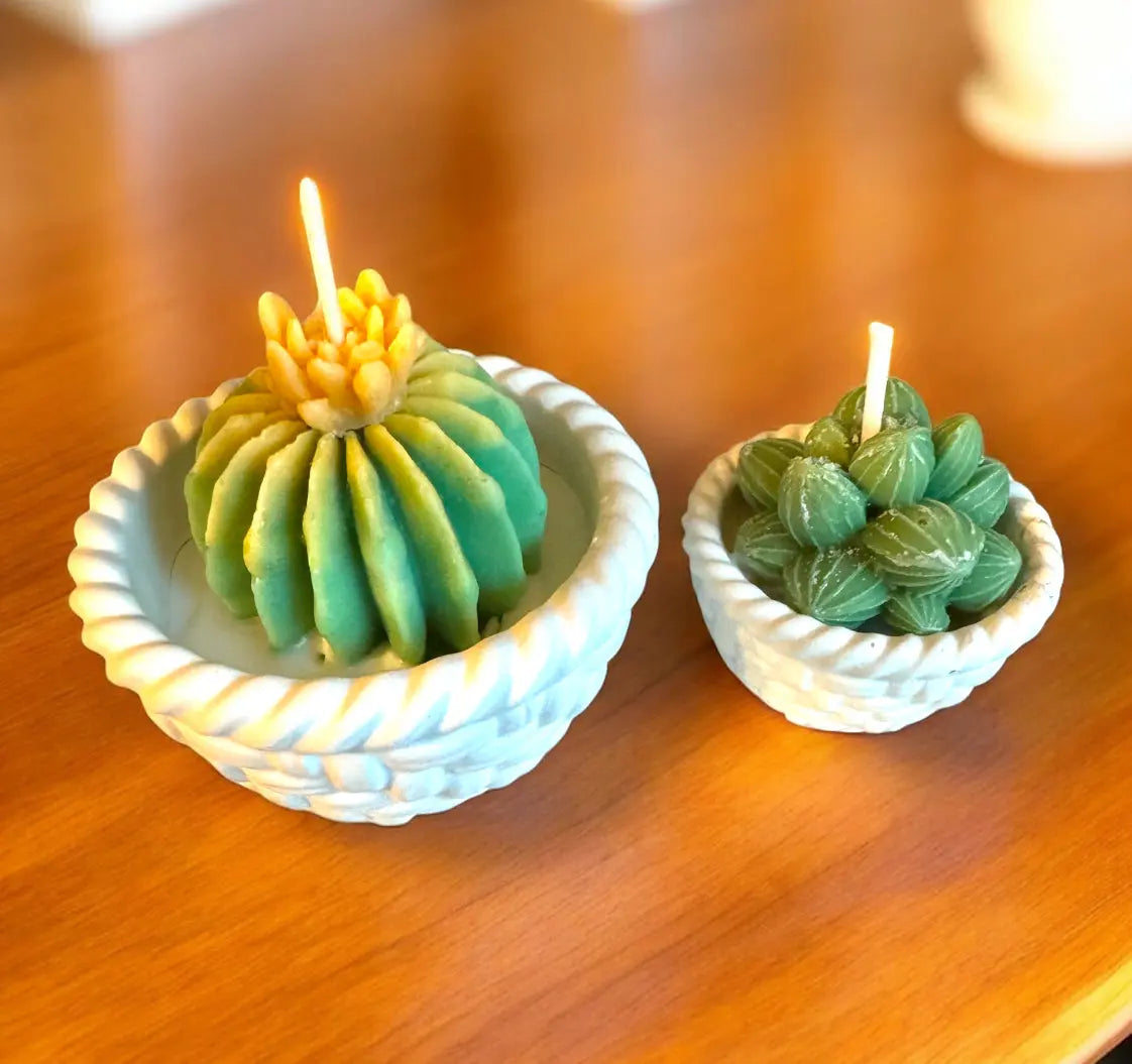 handmade beeswax succulent candle
