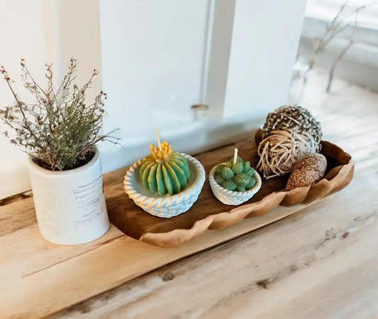 handmade beeswax succulent candle