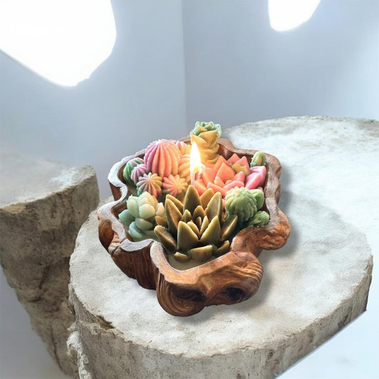Decorative planter with colorful succulents on a stone surface