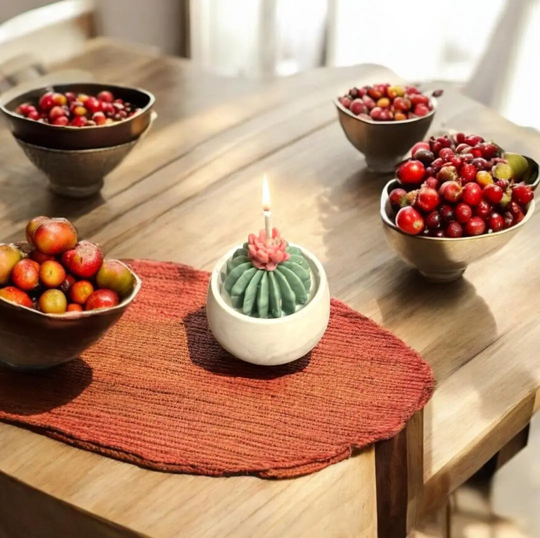 Beewax Succulent cactus candle| natural Beewax candle: housewarming gift for her MehrArt collections