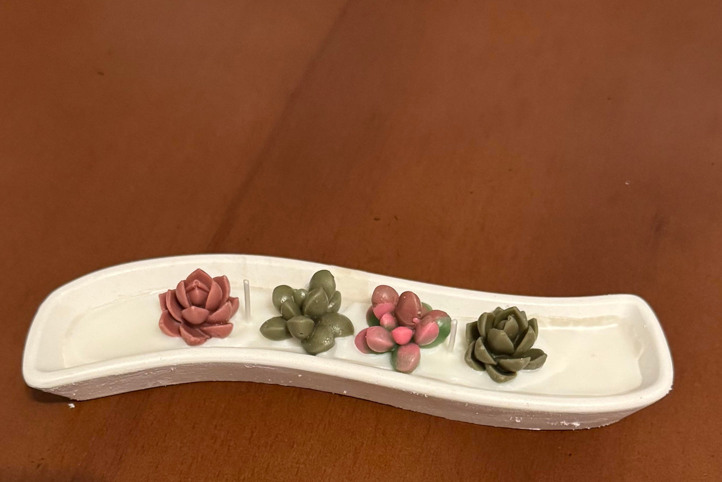 Decorative white tray with four small succulent-like plants on a brown surface